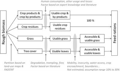 The feed balances sheet: a tool for planning the use of resources and enhancing resilience in tropical grazing livestock